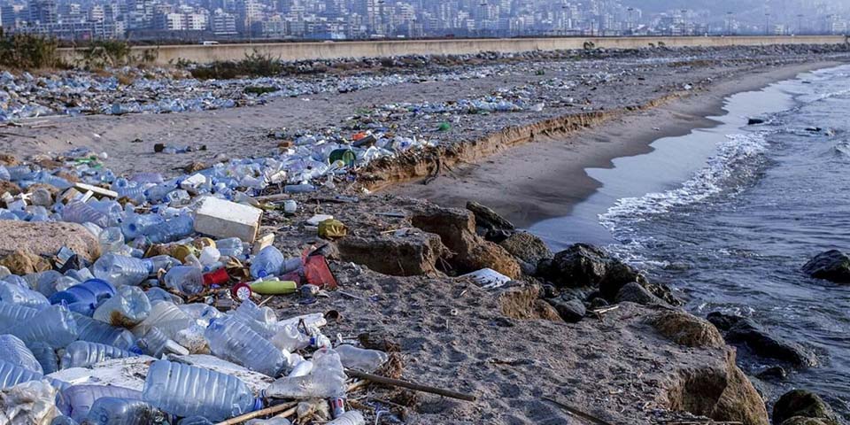 Who’s Really Moving the Needle on Sustainability?